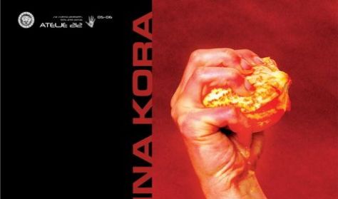 POMORANDžINA KORA POMORANDžINA KORA
