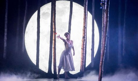 Sleeping Beauty - Mathew Bourne Sleeping Beauty - Mathew Bourne