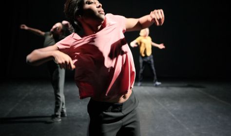 22nd Cyprus Contemporary Dance Festival - The Netherlands