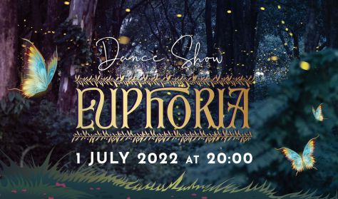 Euphoria/DanSet School of Dance