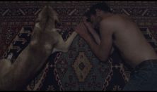 Cyprus Film Days 2023|Love Dog