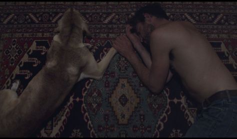 Cyprus Film Days 2023|Love Dog
