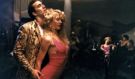 CFD 25|Wild at Heart CFD 25|Wild at Heart