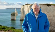 Ocean with David Attenborough