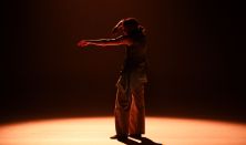 CCDF 25|Folklore Dynamics