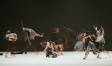 CCDF 25|Folklore Dynamics