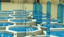 4th Cy Choreography Showcase Day 1