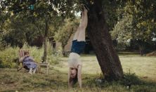 CFD 26| Sound of Falling