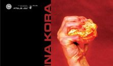 POMORANDžINA KORA
