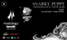 SNARKY PUPPY