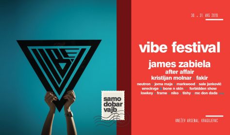 VIBE FESTIVAL - dnevna ulaznica VIBE FESTIVAL - dnevna ulaznica