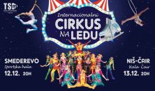 CIRKUS NA LEDU