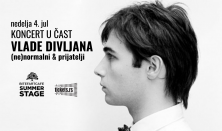 Koncert u čast Vlade Divljana