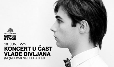 Koncert u čast Vlade Divljana Koncert u čast Vlade Divljana