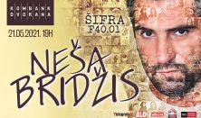 Neša Bridžis - Šifra F40.01