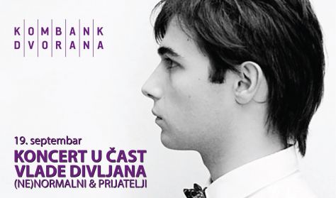 Koncert u čast VLADE DIVLJANA Koncert u čast VLADE DIVLJANA