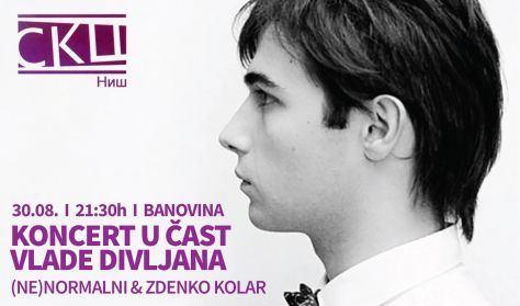 Koncert u čast Vlade Divljana Koncert u čast Vlade Divljana