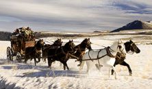 THE HATEFUL EIGHT