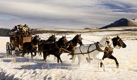 THE HATEFUL EIGHT