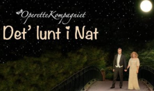 Det* lunt i Nat Det* lunt i Nat