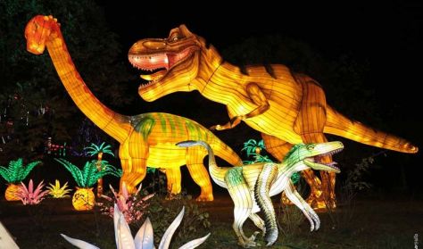 Chinese Lantern Festival Chinese Lantern Festival