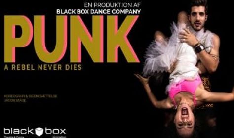 Punk - a rebel never dies Punk - a rebel never dies