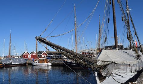 Omvisning på Holbæk Havn