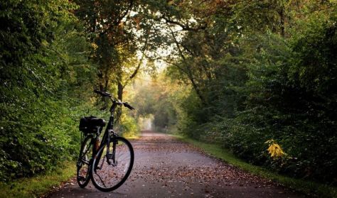 Guidet cykletur i Helsingørs grønne kulturlandskab
