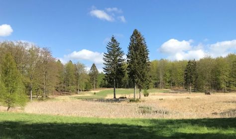 Vandring med healing Vandring med healing