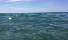 Floating terapi i havet