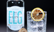 Gin & Tonic smagning med Elg Gin