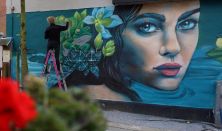 Street Art tur i Slagelse centrum