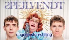 Spejlvendt