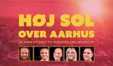 Høj sol over Aarhus